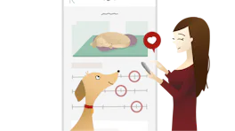 日々の様子を確認