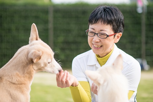 for dogs ぱうぜ様