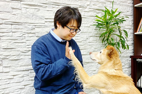 株式会社 PLAYBOW（プレイボゥ）様