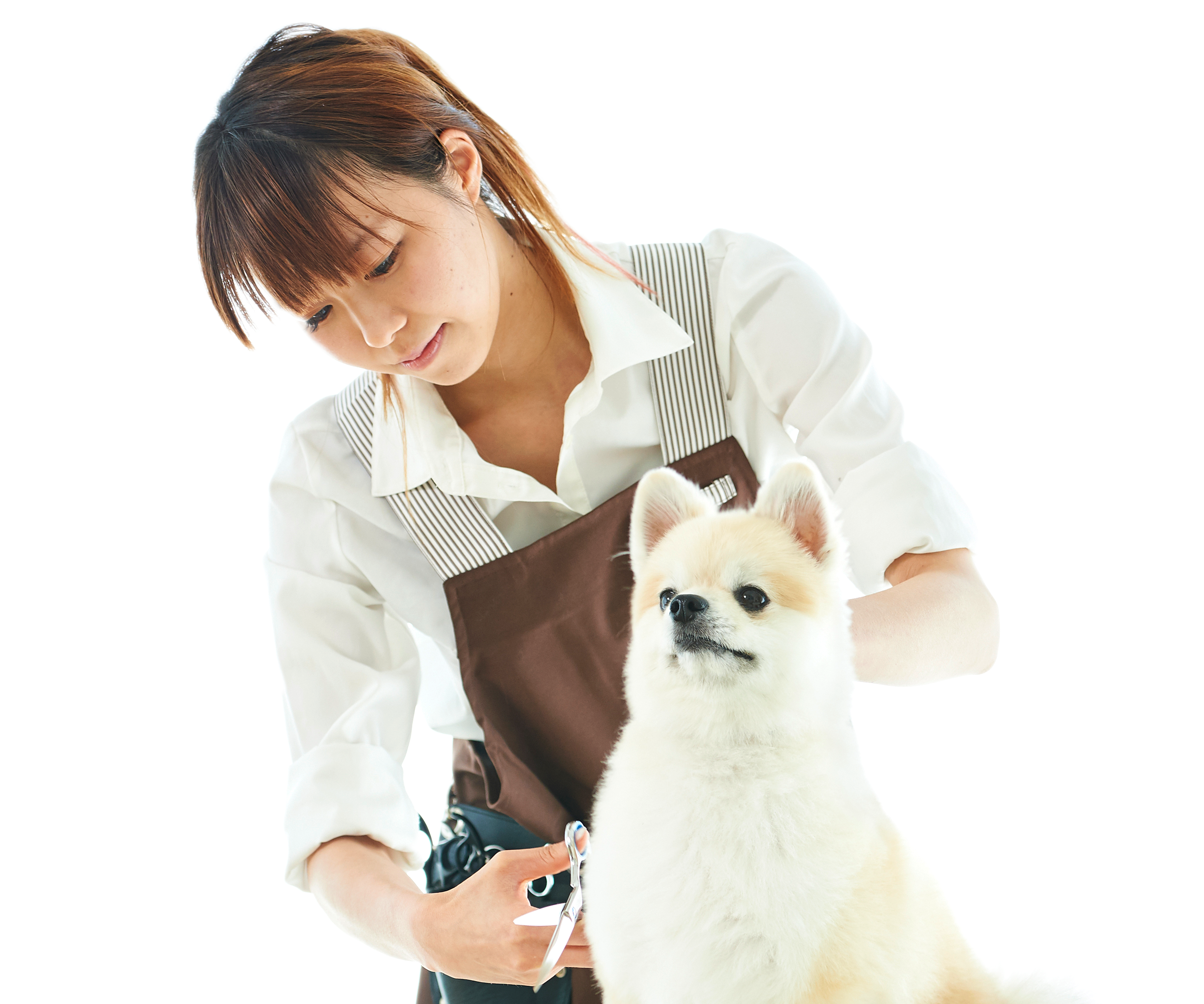 シェリー ビジネスポータル