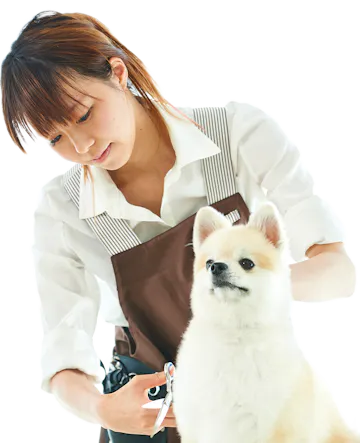 シェリー ビジネスポータル