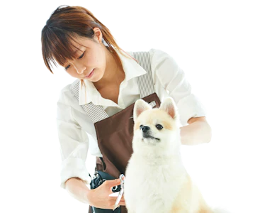 シェリー ビジネスポータル