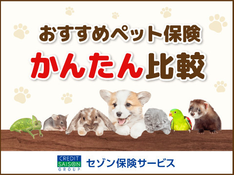 セゾン保険サービス