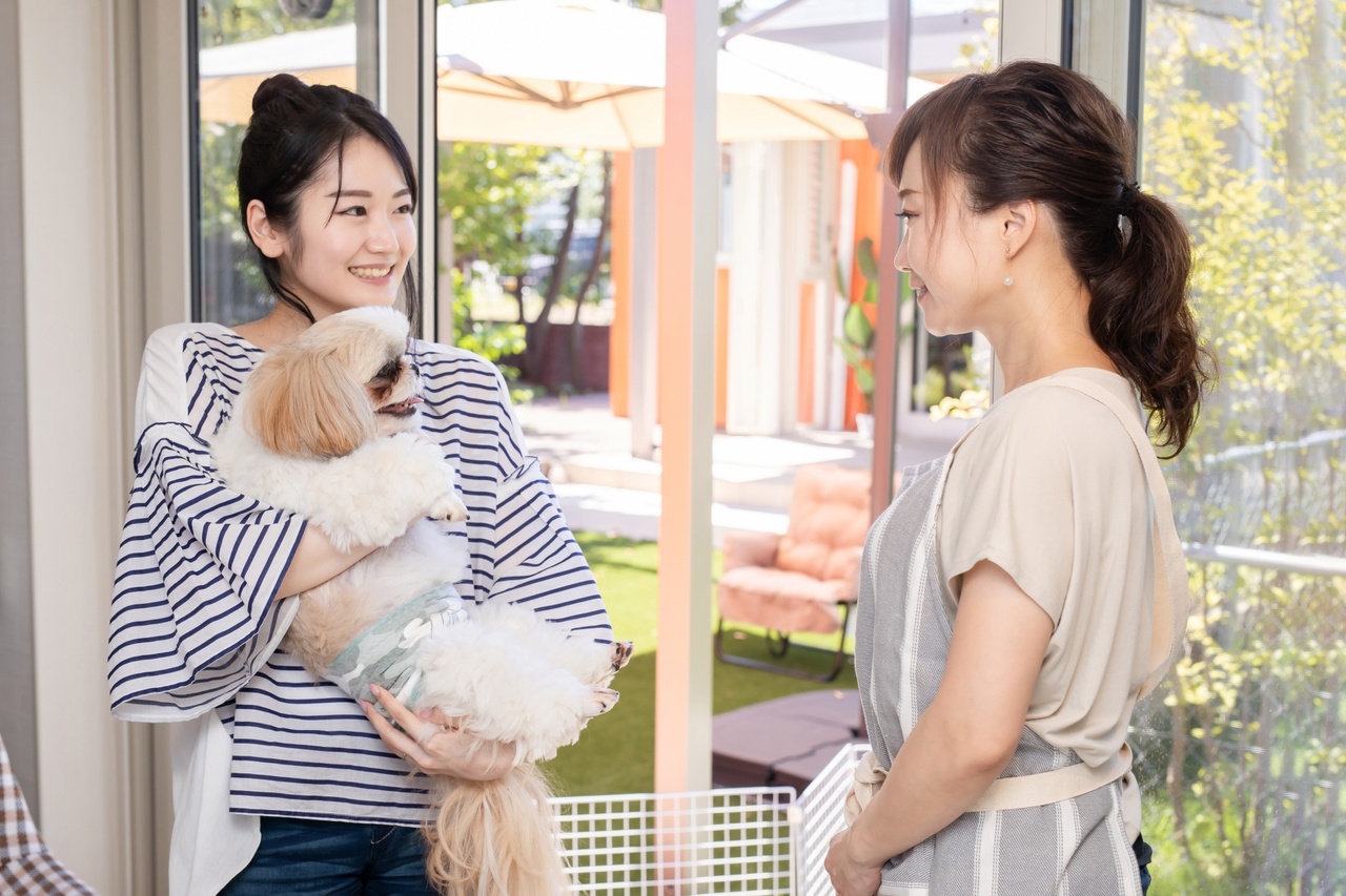 トリミングサロン集客を成功させる方法！お客様が少ない店舗に潜む原因とは？