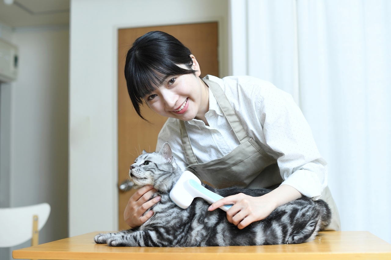 猫の毛を整えるトリマーの女性