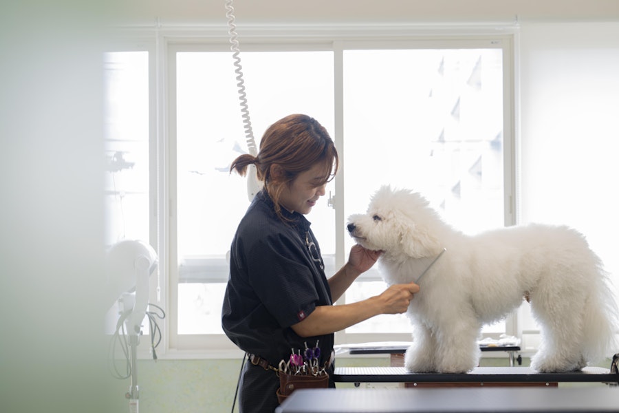 Bowmu(バウム)のトリミングサロン