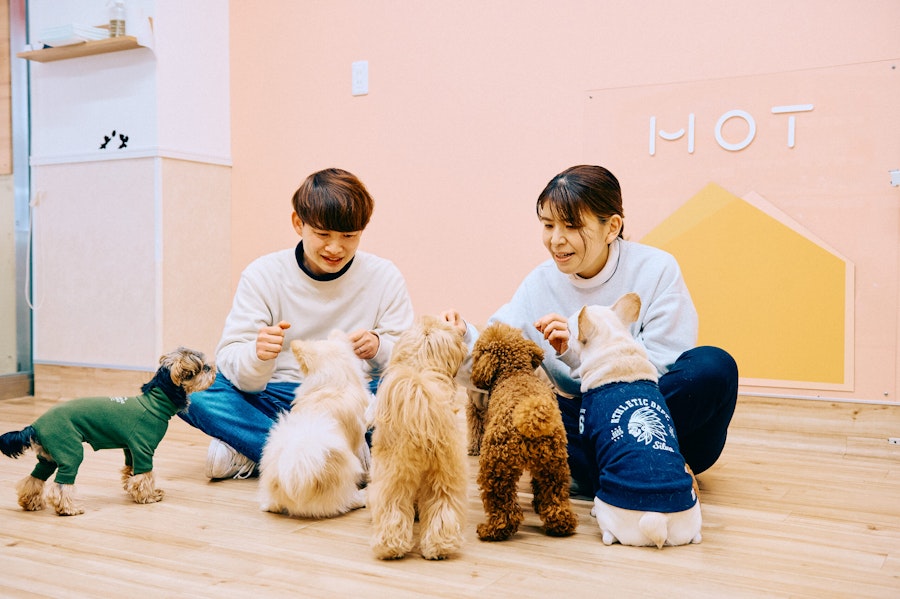 犬の保育園 HOT の犬の保育園・幼稚園風景