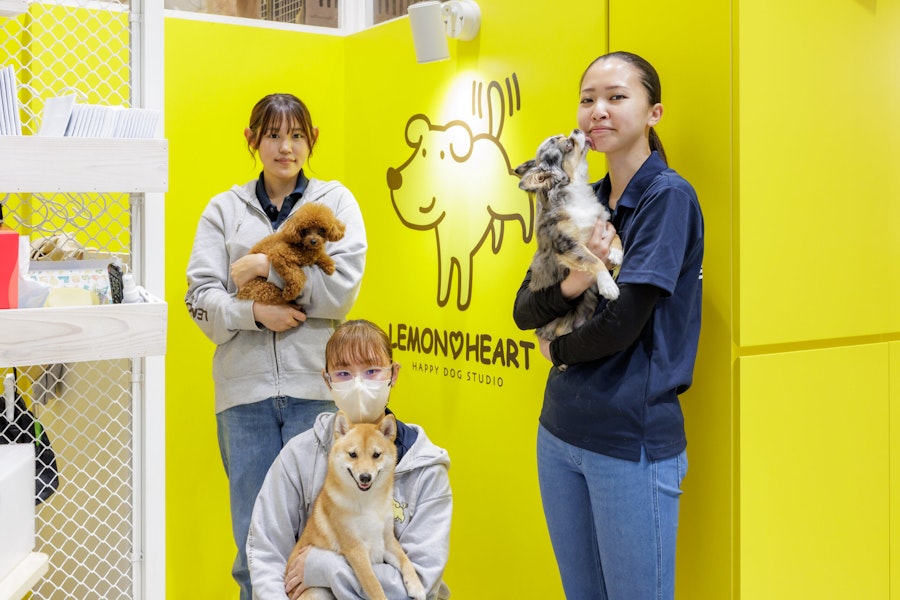 東京都港区にある犬のほいくえん LEMON HEART 様