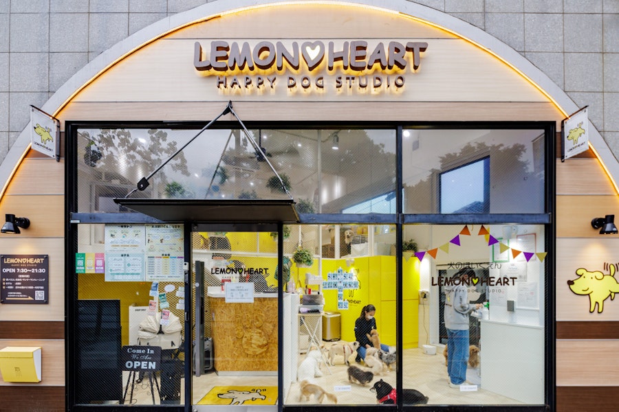 犬のほいくえん LEMON HEART 様