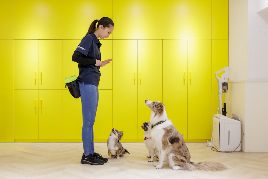 LEMON HEART 様のトレーニング風景