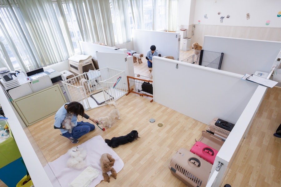 move 'onのお部屋