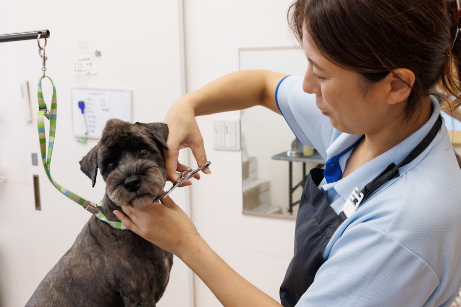 move 'onトリミング風景