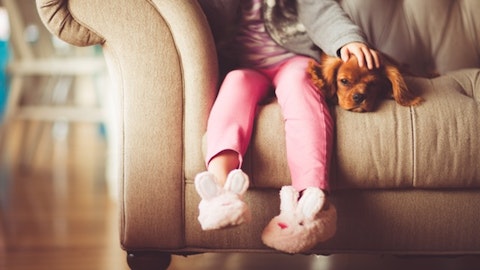 初心者でも飼いやすい室内犬ランキングTOP5のアイキャッチ画像