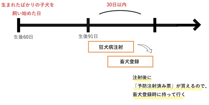 狂犬病注射・畜犬登録図解