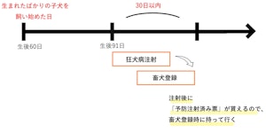 狂犬病注射・畜犬登録図解