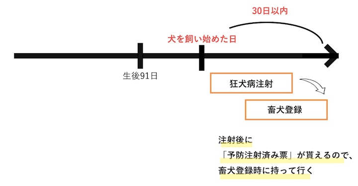 狂犬病注射・畜犬登録の図解22