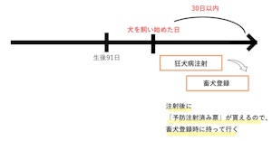狂犬病注射・畜犬登録の図解22