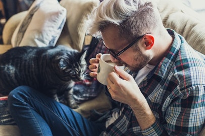 猫飼いさんライフハック！お家のメンテナンスに便利なグッズ７選のアイキャッチ画像