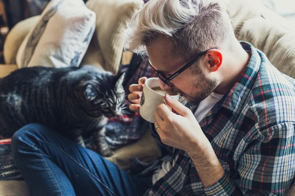 猫飼いさんライフハック！お家のメンテナンスに便利なグッズ７選のアイキャッチ画像