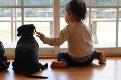 子供がいる家庭こそ、ペットを飼ったほうがいい理由とはのアイキャッチ画像