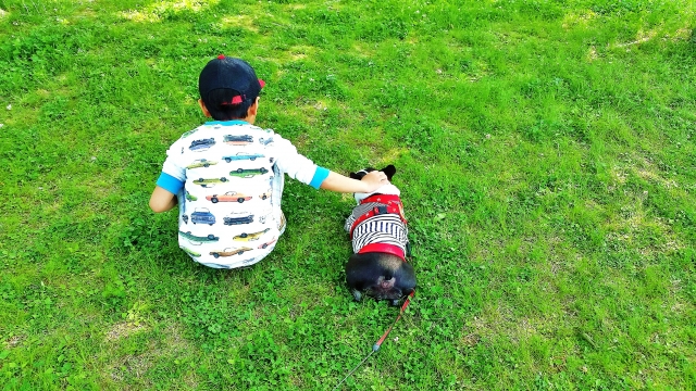 犬と子供の友情