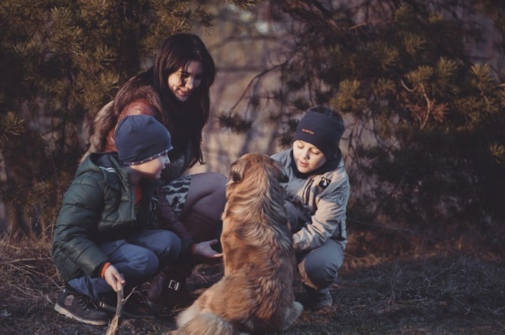 犬と家族