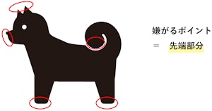 スキンシップ,場所,犬,触る,撫でる,飼い主