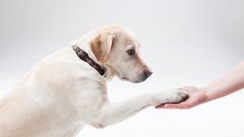 【室内犬】お散歩後の愛犬「足を綺麗にする方法」って?のアイキャッチ画像