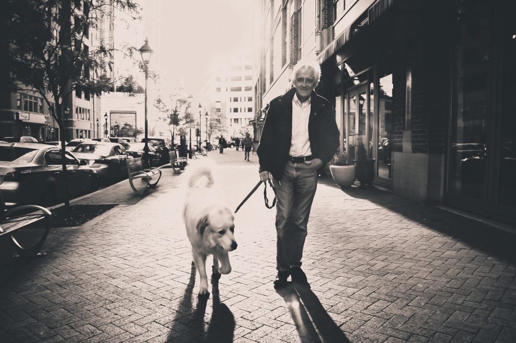 愛犬と一緒に散歩する