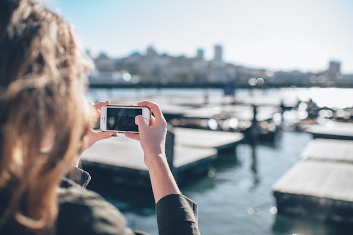 ハムスター,インスタグラム,Instagram,ハッシュタグ,人気,写真,インスタ映え