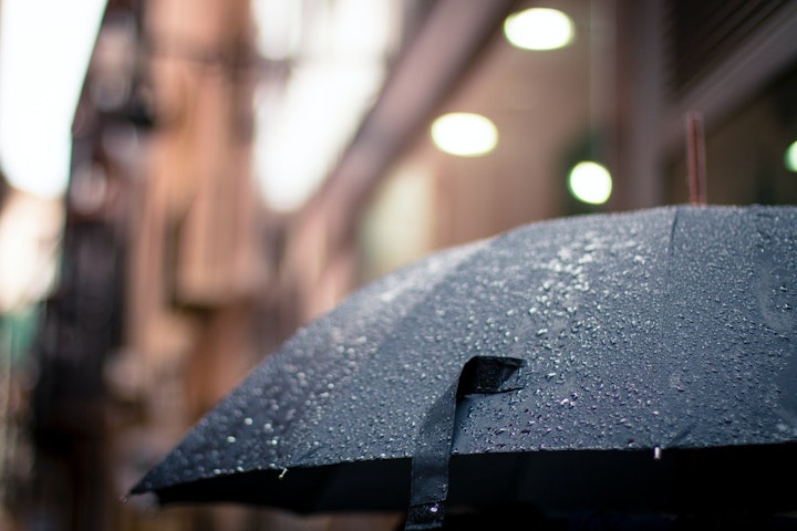 雨　散歩　犬　方法　快適　グッズ