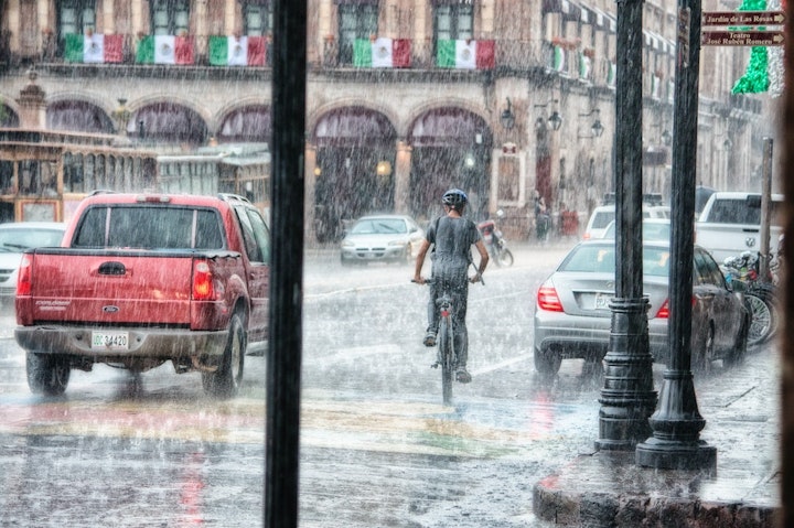 雨　散歩　犬　方法　快適　グッズ