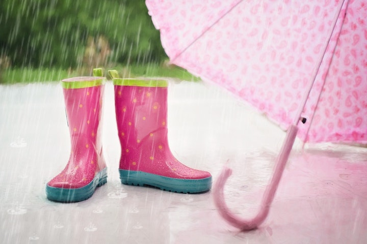 雨　散歩　犬　方法　快適　グッズ