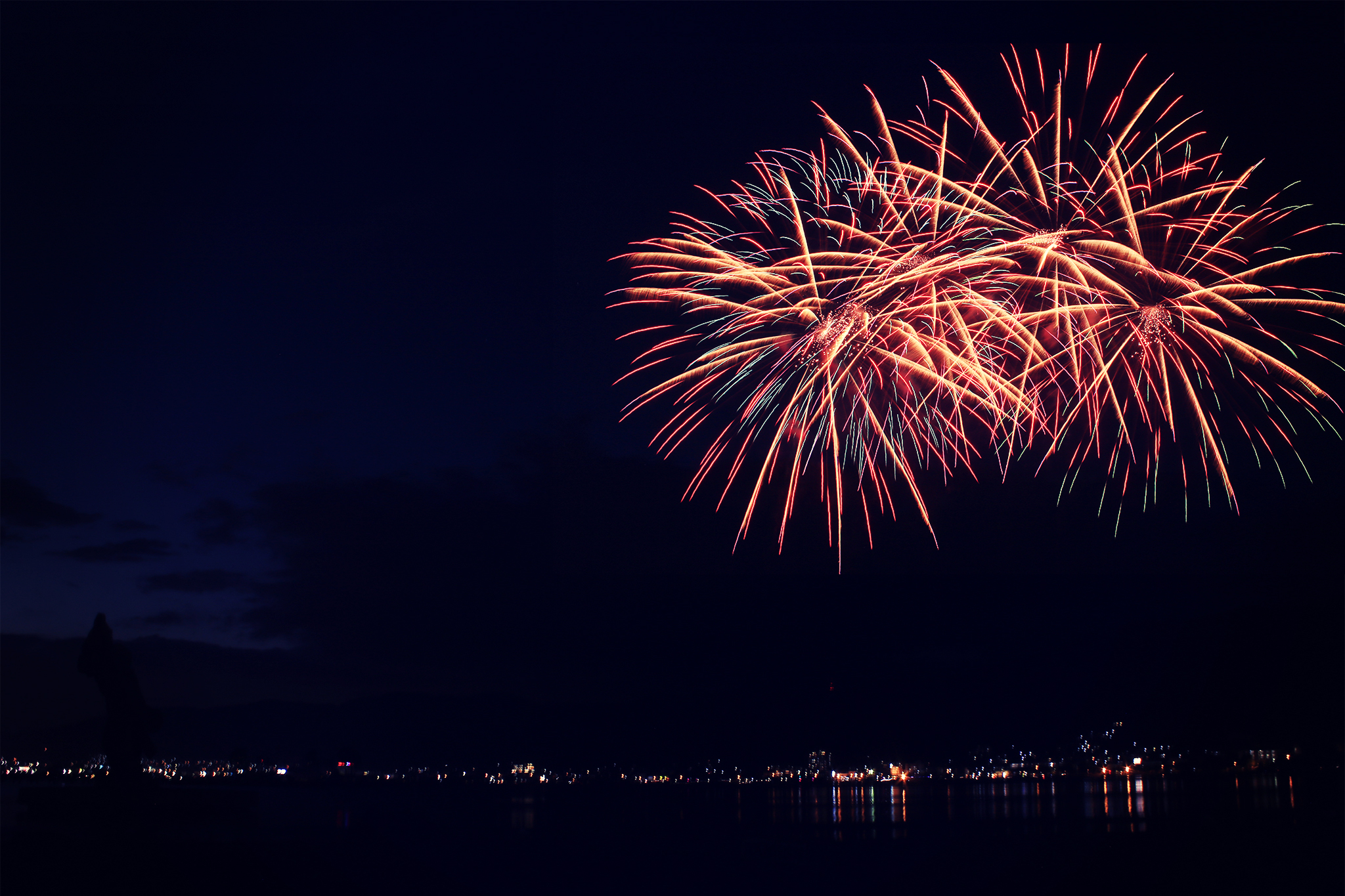 花火大会に犬を連れて行くのは危険！？3つのリスクと対策を解説