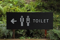 記事カテゴリ第5位