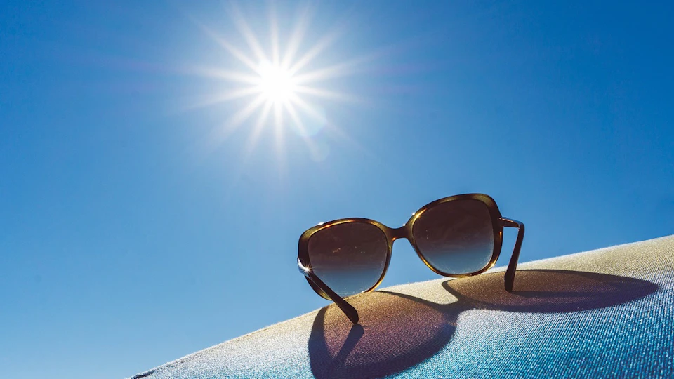 数時間で重度の熱中症に。犬の熱中症、その症状と対策。