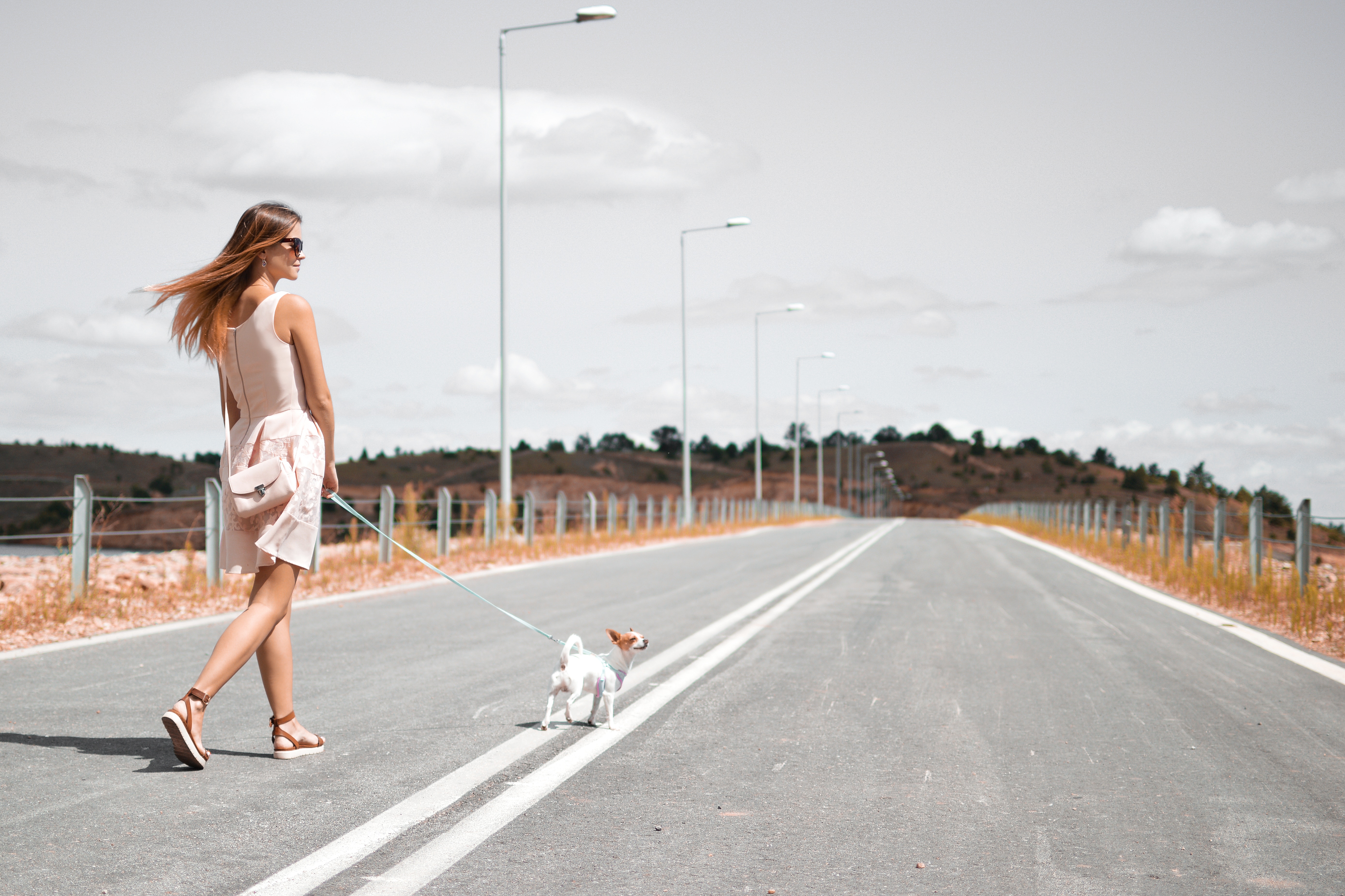 道路を散歩する女性と犬