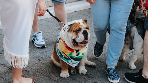 愛犬が散歩を嫌がるのには理由があった!4つの原因と対処法のアイキャッチ画像