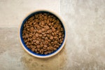 猫,ごはん,食べない,食器,フード,原因