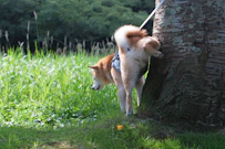 おすすめ記事1