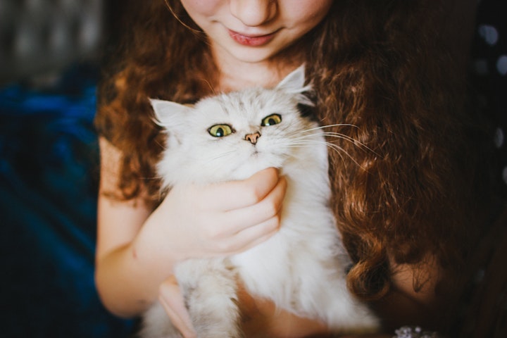 女の子と猫