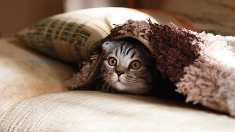 一石三鳥の意外な猫の寒さ対策とは?猫の寒さ対策を知り快適な冬を!のアイキャッチ画像