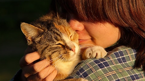 猫に好かれたいあなたに送る7つのヒント【猫との接し方】のアイキャッチ画像