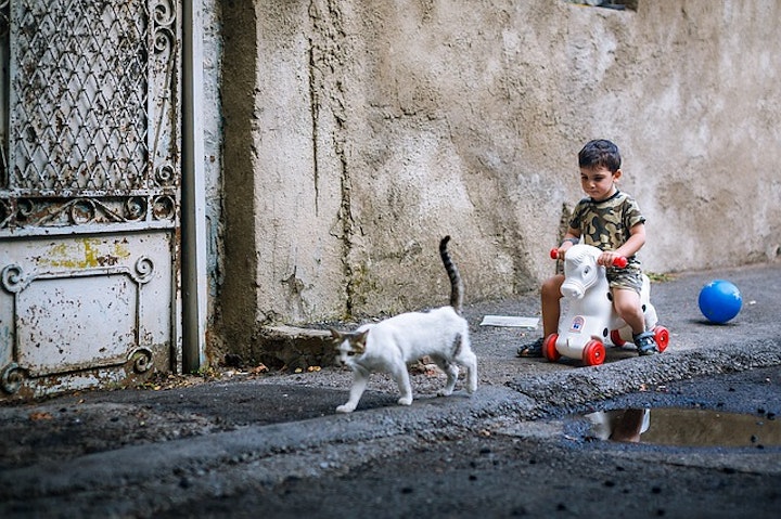 子供と猫