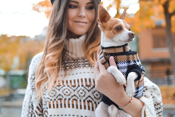犬の散歩が快適に!斜めがけの「ショルダーリード」がおすすめのアイキャッチ画像