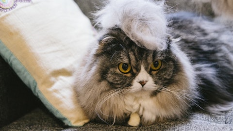 猫の抜け毛対策におすすめなのは「自動掃除機」だった!【ルンバ】のアイキャッチ画像