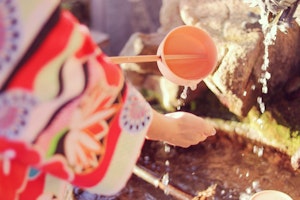 七五三,犬,祈願,着物,神社