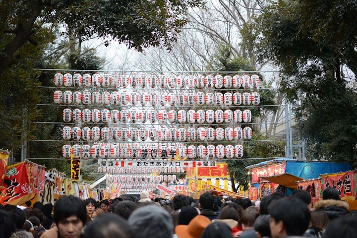 初詣に犬連れOKな神社に一緒に行く風景