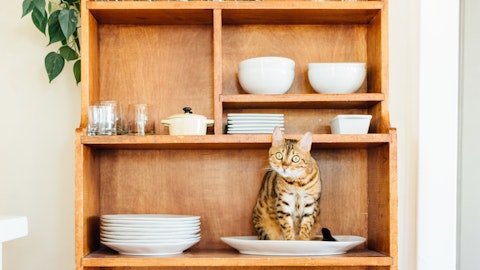 里親募集型猫カフェって何?保護猫のカフェを紹介!のアイキャッチ画像