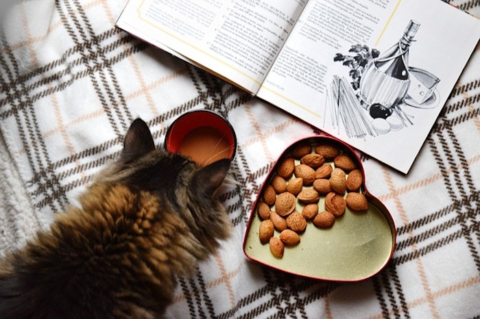 バレンタインに食べ物をプレゼント